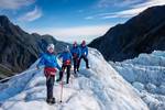 Heli-hike - Franz Josef - A partir de 10 ans